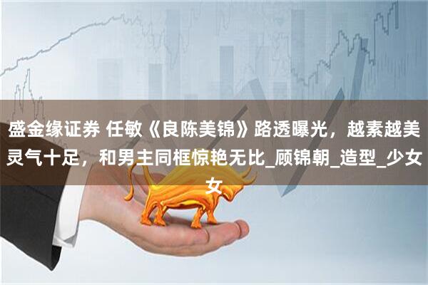 盛金缘证券 任敏《良陈美锦》路透曝光，越素越美灵气十足，和男主同框惊艳无比_顾锦朝_造型_少女