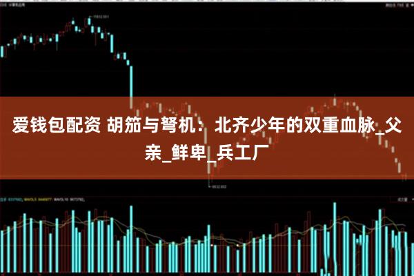 爱钱包配资 胡笳与弩机：北齐少年的双重血脉_父亲_鲜卑_兵工厂