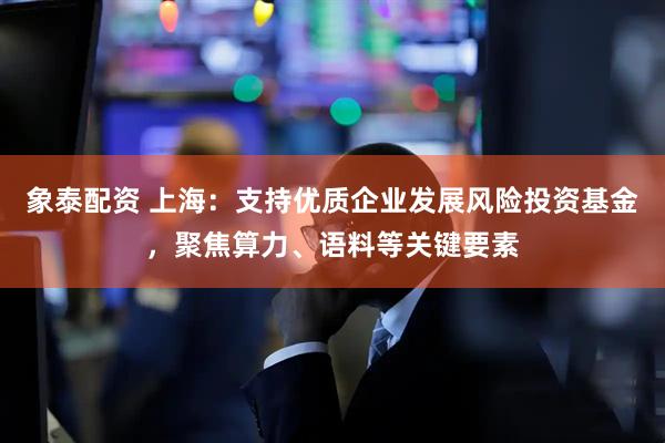 象泰配资 上海：支持优质企业发展风险投资基金，聚焦算力、语料等关键要素