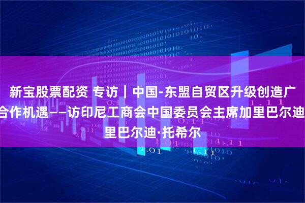 新宝股票配资 专访｜中国-东盟自贸区升级创造广阔产业合作机遇——访印尼工商会中国委员会主席加里巴尔迪·托希尔
