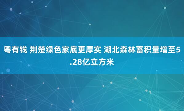 粤有钱 荆楚绿色家底更厚实 湖北森林蓄积量增至5.28亿立方米
